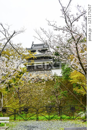 西尾市歴史公園（4月初旬）　本丸丑寅櫓（ほんまるうしとらやぐら） 125175267