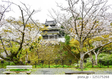 西尾市歴史公園（4月初旬）　本丸丑寅櫓（ほんまるうしとらやぐら） 125175268