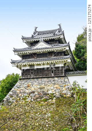 西尾市歴史公園（4月初旬）　本丸丑寅櫓（ほんまるうしとらやぐら） 125175274