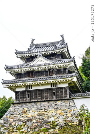 西尾市歴史公園（4月初旬）　本丸丑寅櫓（ほんまるうしとらやぐら） 125175275
