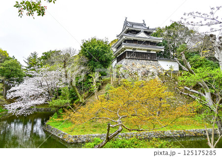 西尾市歴史公園（4月初旬）　本丸丑寅櫓（ほんまるうしとらやぐら） 125175285