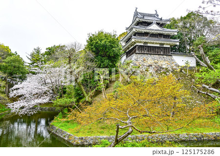 西尾市歴史公園（4月初旬）　本丸丑寅櫓（ほんまるうしとらやぐら） 125175286