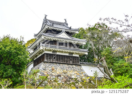 西尾市歴史公園（4月初旬）　本丸丑寅櫓（ほんまるうしとらやぐら） 125175287