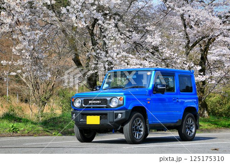 本格派4駆なのにキュートな外観… 『ジムニー』と満開の桜 125175310