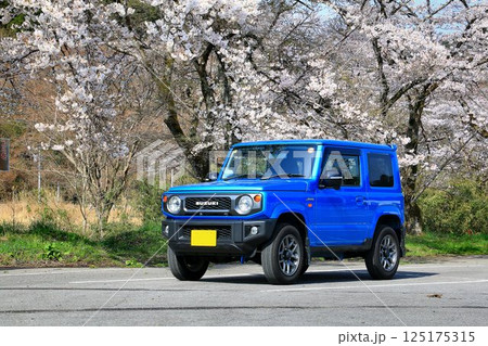 本格派4駆なのにキュートな外観… 『ジムニー』と満開の桜 125175315