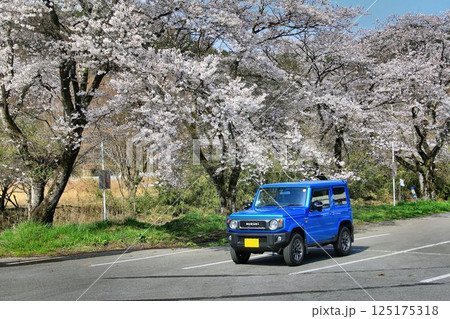 本格派4駆なのにキュートな外観… 『ジムニー』と満開の桜 125175318