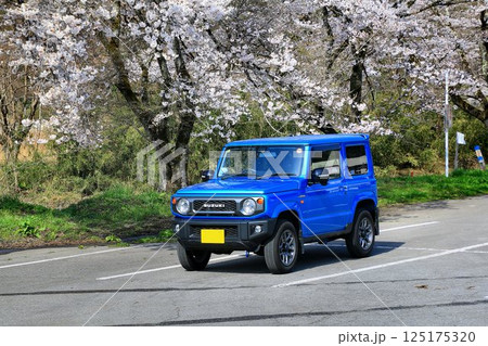 本格派4駆なのにキュートな外観… 『ジムニー』と満開の桜 125175320