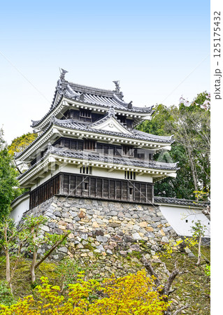 西尾市歴史公園（4月初旬）　本丸丑寅櫓（ほんまるうしとらやぐら） 125175432