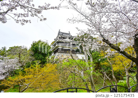 西尾市歴史公園（4月初旬）　本丸丑寅櫓（ほんまるうしとらやぐら） 125175435