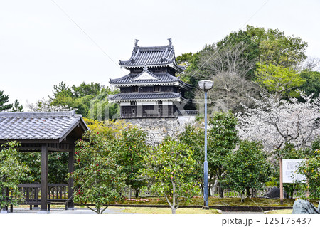 西尾市歴史公園（4月初旬）　本丸丑寅櫓（ほんまるうしとらやぐら） 125175437