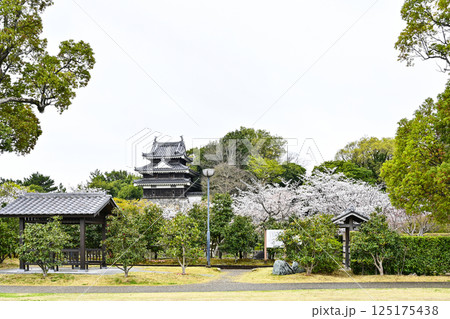 西尾市歴史公園（4月初旬） 125175438
