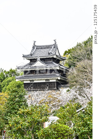 西尾市歴史公園（4月初旬）　本丸丑寅櫓（ほんまるうしとらやぐら） 125175439