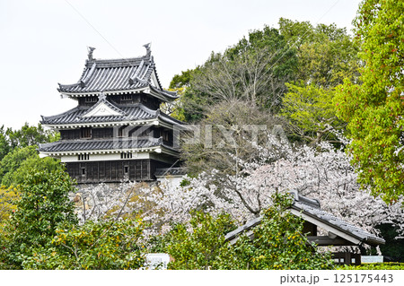 西尾市歴史公園（4月初旬）　本丸丑寅櫓（ほんまるうしとらやぐら） 125175443