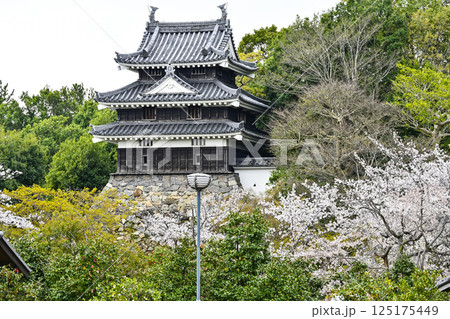 西尾市歴史公園(4月初旬) 本丸丑寅櫓(ほんまるうしとらやぐら) 西尾市歴史公園(4月初旬) 本丸丑寅櫓(ほんまるうしとらやぐら) 125175449
