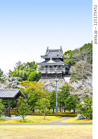 西尾市歴史公園（4月初旬）　本丸丑寅櫓（ほんまるうしとらやぐら） 125175452