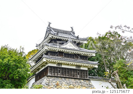 西尾市歴史公園(4月初旬) 本丸丑寅櫓(ほんまるうしとらやぐら) 西尾市歴史公園(4月初旬) 本丸丑寅櫓(ほんまるうしとらやぐら) 125175677