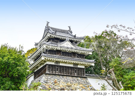 西尾市歴史公園(4月初旬) 本丸丑寅櫓(ほんまるうしとらやぐら) 西尾市歴史公園(4月初旬) 本丸丑寅櫓(ほんまるうしとらやぐら) 125175678
