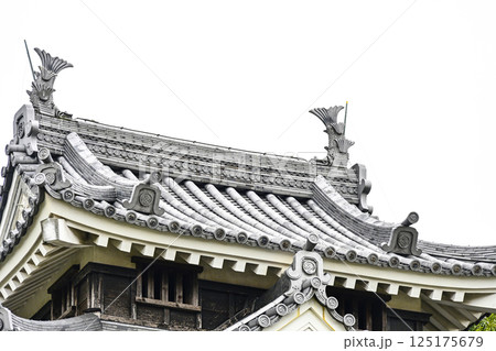 西尾市歴史公園（4月初旬）　本丸丑寅櫓（ほんまるうしとらやぐら） 125175679