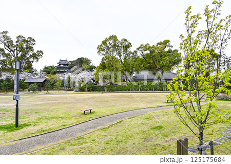 西尾市歴史公園(4月初旬) 西尾市歴史公園(4月初旬) 125175684