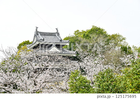 西尾市歴史公園（4月初旬）　本丸丑寅櫓（ほんまるうしとらやぐら） 125175695