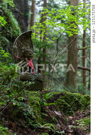 森の中に佇むお地蔵様 125175708