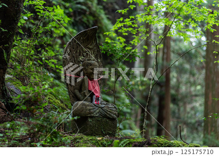 森の中に佇むお地蔵様 森の中に佇むお地蔵様 125175710