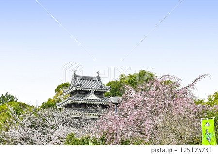 西尾市歴史公園（4月初旬）　本丸丑寅櫓（ほんまるうしとらやぐら） 125175731