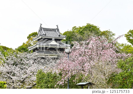 西尾市歴史公園(4月初旬) 本丸丑寅櫓(ほんまるうしとらやぐら) 西尾市歴史公園(4月初旬) 本丸丑寅櫓(ほんまるうしとらやぐら) 125175733