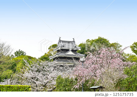 西尾市歴史公園（4月初旬）　本丸丑寅櫓（ほんまるうしとらやぐら） 125175735