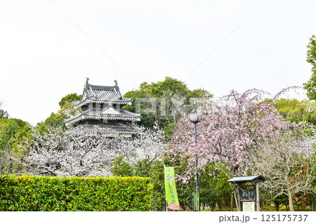 西尾市歴史公園(4月初旬) 本丸丑寅櫓(ほんまるうしとらやぐら) 西尾市歴史公園(4月初旬) 本丸丑寅櫓(ほんまるうしとらやぐら) 125175737