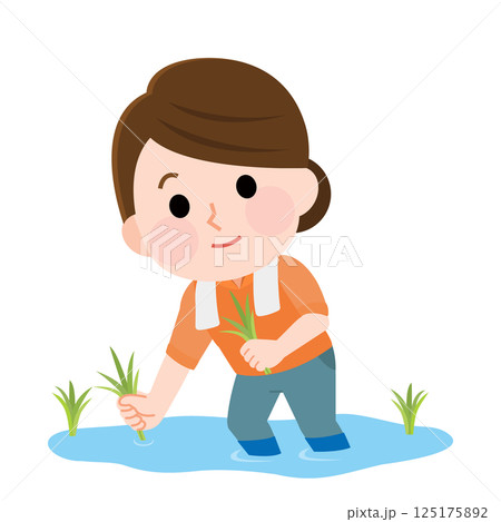 田植え体験をする女性　イラスト 125175892