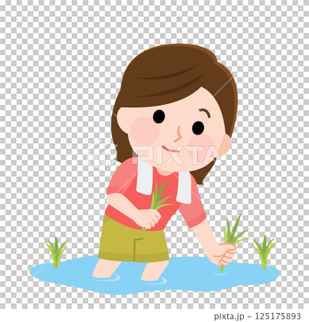 田植え体験をする若い女性　イラスト 125175893
