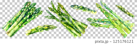 Set of fresh vegetable, green asparagus in watercolor style isolated on a transparent background. 125176121
