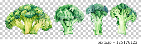 Set of fresh vegetable, green broccoli in watercolor style isolated on a transparent background. Set of fresh vegetable, green broccoli in watercolor style isolated on a transparent background. 125176122