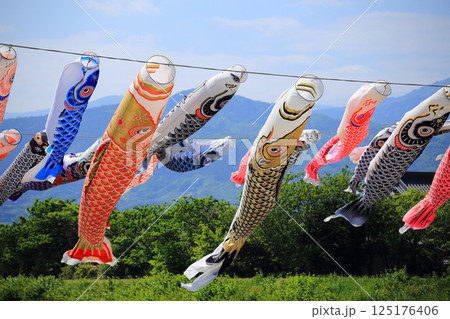 風に吹かれて元気に泳ぐこいのぼり 風に吹かれて元気に泳ぐこいのぼり 125176406