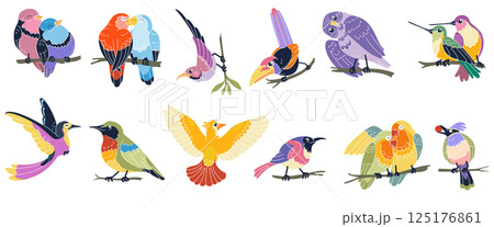Bird icon. Grassland spring symbol. Cute fowl with feather animal. Funny birdie in nature forest. Character on branch, lovebirds couple, bullfinch and parrot cartoon kids illustration. Vector set 125176861