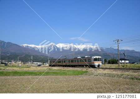 中央アルプスを背景に走る313系3000番台　飯田線 125177081