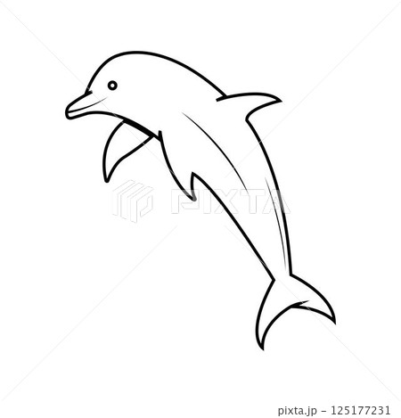 Dolphin logo icon vector 125177231