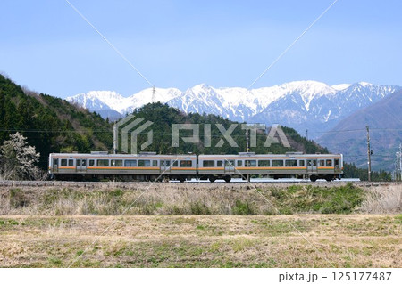 日本アルプスを背景に走る213系5000番台　飯田線 125177487