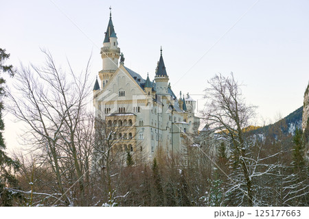 Neuschwanstein Castle Perched on Misty Alpine Peak Overlooking Serene Bavarian Landscape at Dawn Enchanting Fairytale Architecture Meets Natural Splendor in Iconic German Landmark Neuschwanstein Castle Perched on Misty Alpine Peak Overlooking Serene Bavarian Landscape at Dawn Enchanting Fairytale Architecture Meets Natural Splendor in Iconic German Landmark 125177663