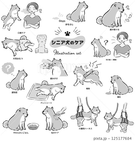 シニア犬ケアのイラストセット 125177684