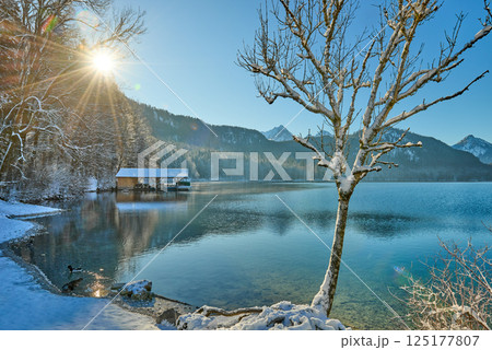 Serene Winter Wonderland: Frozen Lake Shines Under Clear Blue Sky on Sunny Winter Day Pristine Icy Landscape Captures Nature's Tranquil Beauty in Early Morning Light 125177807