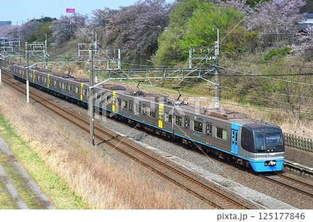 桜を背景に走る北総鉄道9100形　登場30年ヘッドマークシール付　C-Flyer 125177846