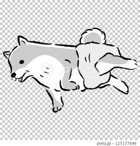 Hand-drawn illustration of a senior dog wearing a diaper 125177896