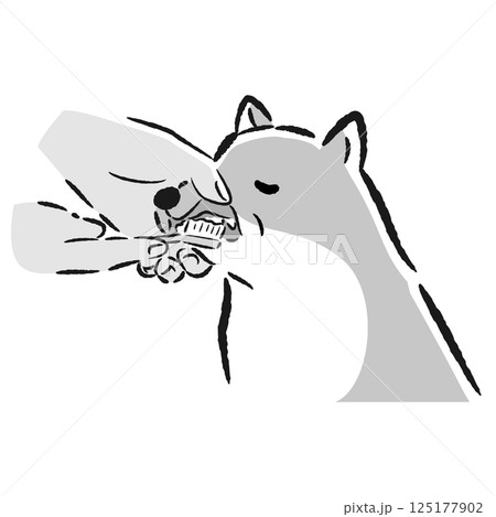 シニア犬の歯みがきの手描きイラスト 125177902