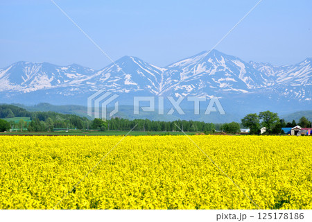 美瑛から望む残雪の十勝連峰 初夏の美瑛町風景 美瑛から望む残雪の十勝連峰 初夏の美瑛町風景 125178186