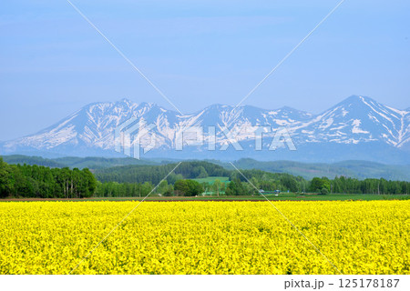美瑛から望む残雪の十勝連峰　初夏の美瑛町風景 125178187