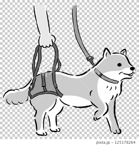 Hand-drawn illustration of a senior dog using a walking belt 125178264