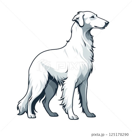 優雅に立つボルゾイ 125178290