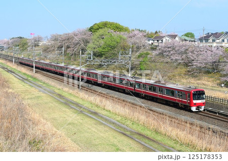 桜を背景に走る京急新1000形　銀1000　SUS車　北総線内 125178353